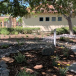 Escondido HOA Saves Water Costs With WaterSmart Landscape Upgrades