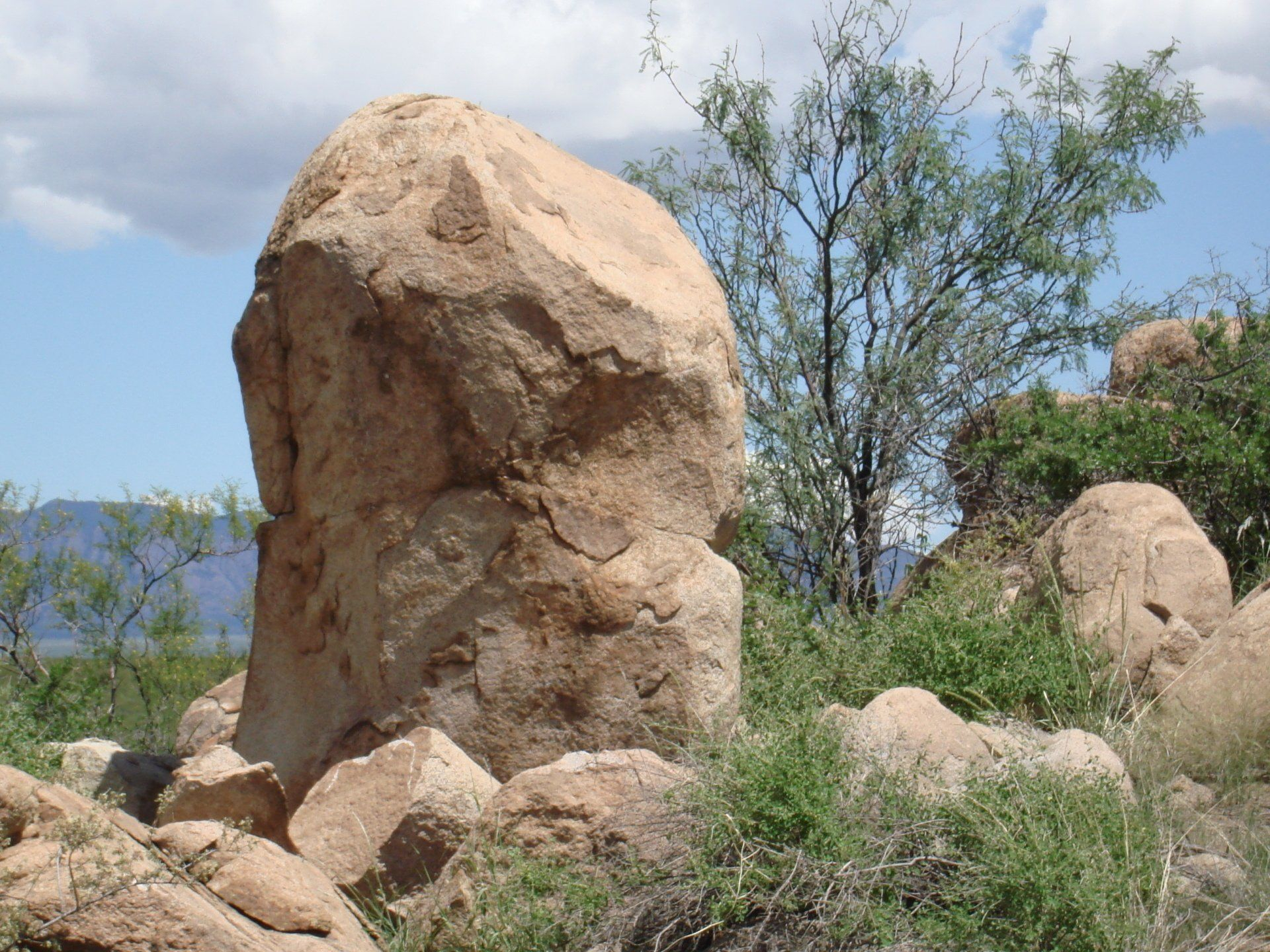 Landscape Services Water Harvesting Tucson AZ