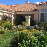 Lawn Rebates For Fall Planting Season Water News Network Our Region