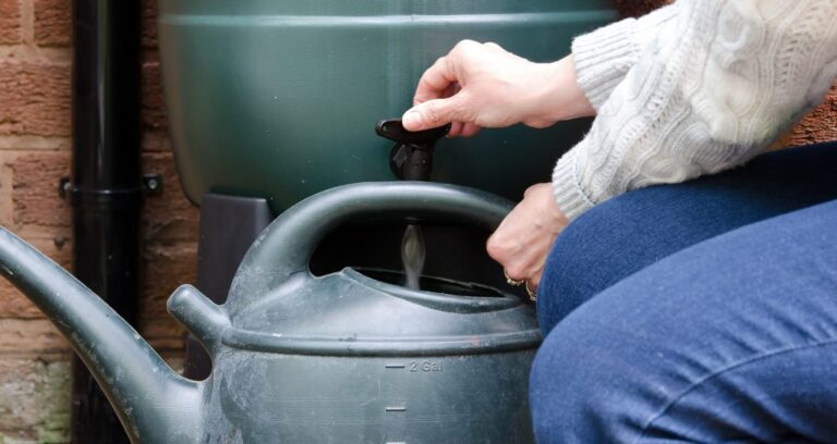 San Mateo County Rain Barrels And Rebate Program Everything South City