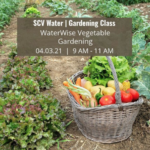 SCVNews SCV Water s Virtual Class To Highlight Vegetable