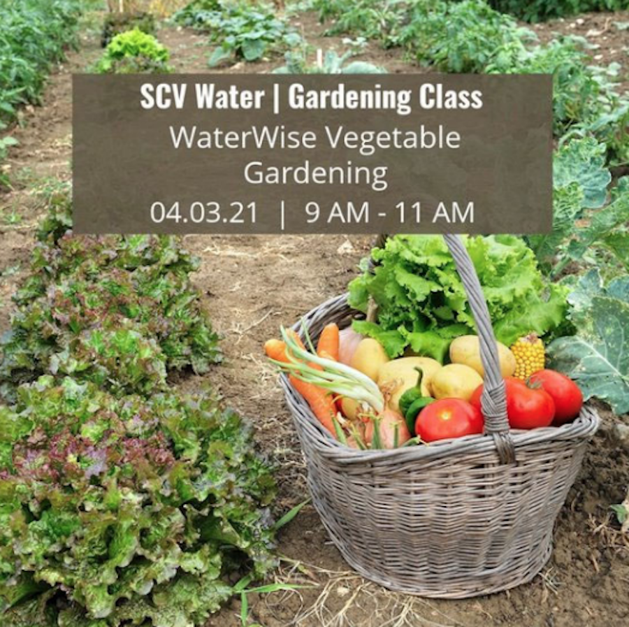 SCVNews SCV Water s Virtual Class To Highlight Vegetable 