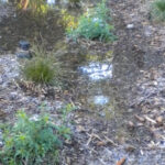 Soquel Creek Water District Monterey Bay Friendly Landscaping