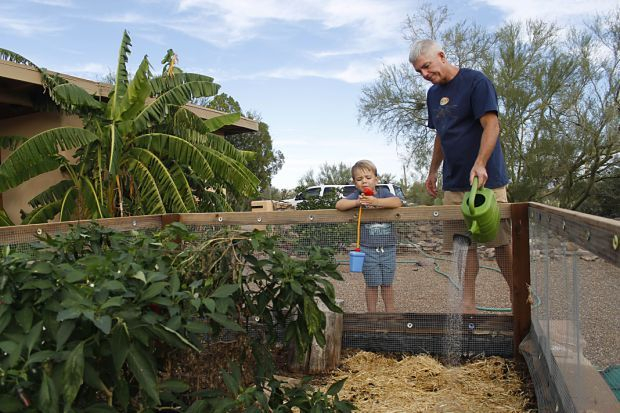 Tucson May Expand Rainwater harvesting Rebates Government Politics 