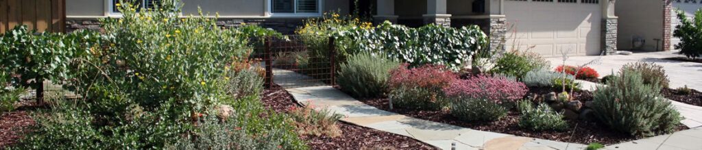 Valley Water Landscape Rebate Program