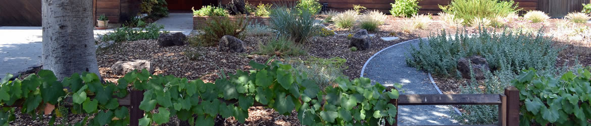 Valley Water Landscape Rebate Program