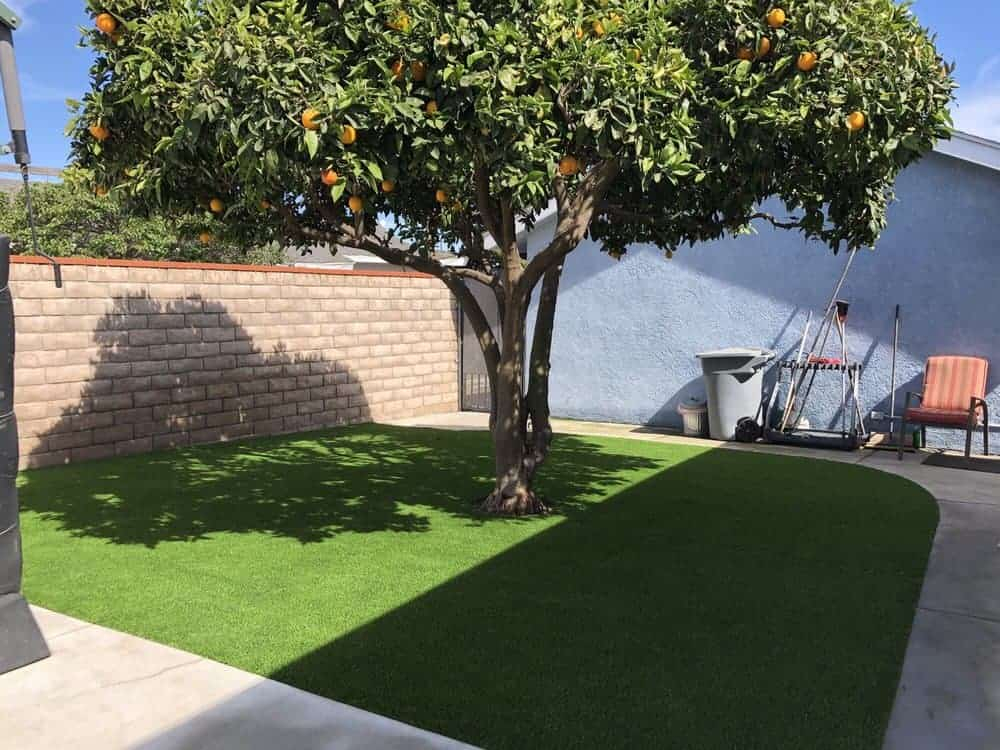 Walteria Torrance CA Artificial Turf Installers Grizzly Turf