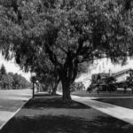 Water And Power Associates California Photos Pasadena California