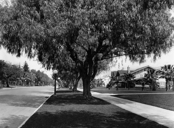 Water And Power Associates California Photos Pasadena California 