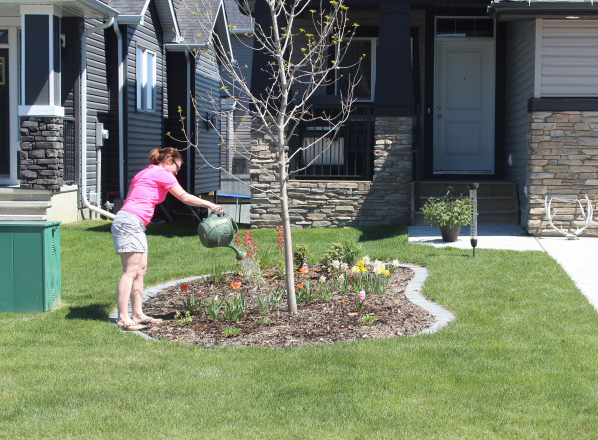 Water Rebate Program In Okotoks To Include Xeriscaping 