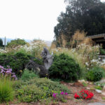 Water wise Garden In Pescadero California Water Wise Landscaping