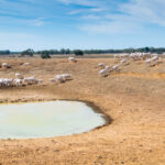 100 Million On farm Emergency Water Infrastructure Rebate Available To