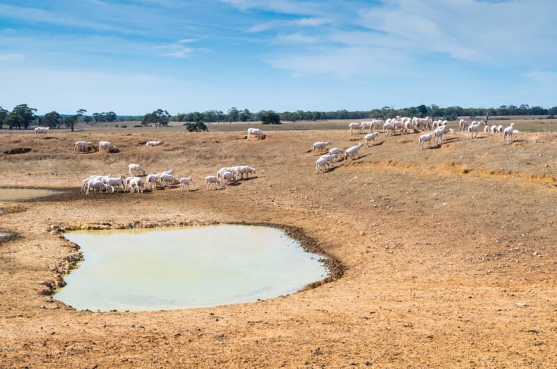  100 Million On farm Emergency Water Infrastructure Rebate Available To 