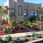 A Step by Step Process To A Water Smart Landscape South County EDC