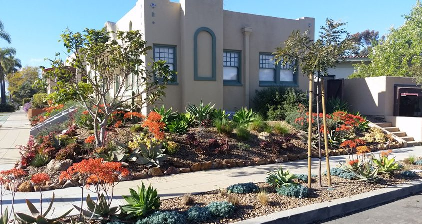 A Step by Step Process To A Water Smart Landscape South County EDC