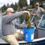 Aquatic Plant Management Society Blog Cascade Water Alliance Targeting