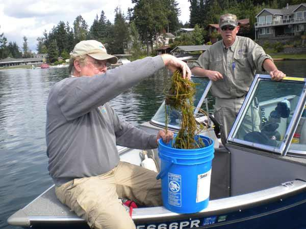 Aquatic Plant Management Society Blog Cascade Water Alliance Targeting