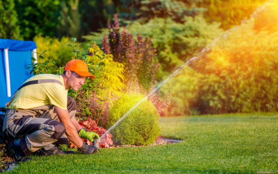 Artificial Grass Water Rebates In Southern California They Are Back 