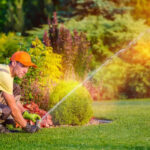 Artificial Grass Water Rebates In Southern California They Are Back