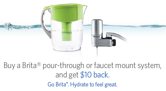 BRITA REBATE FORM PDF