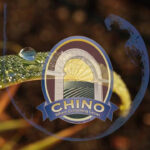 City Of Chino Water Rebates WaterRebate