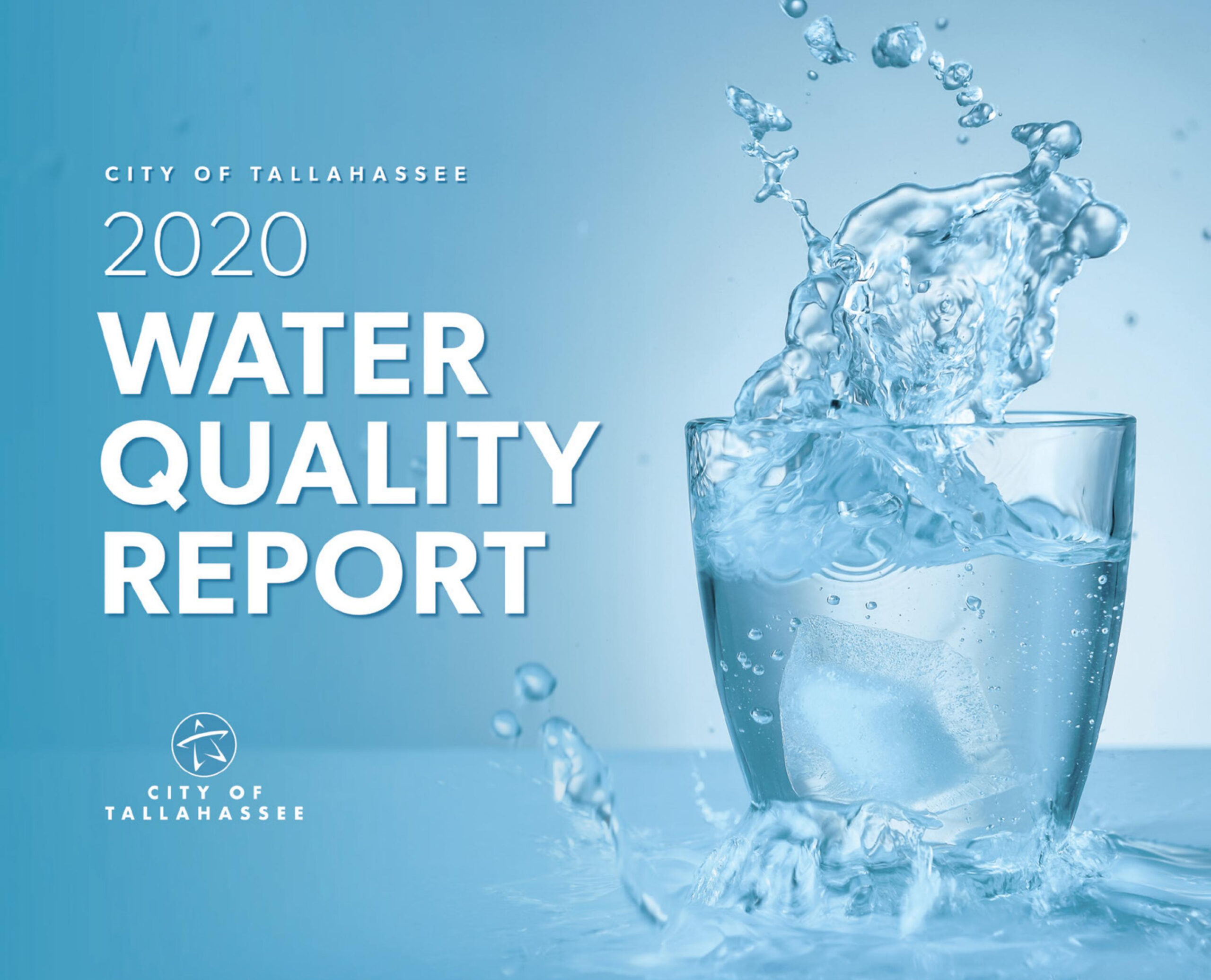 City Of Tallahassee Water Quality Report 2020 By LAT Creative Issuu