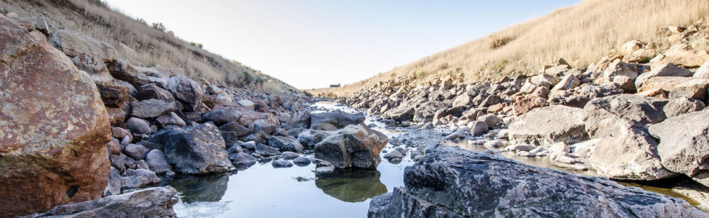 CONSERVATION REBATES OVERVIEW Albuquerque Bernalillo County Water 