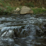 Creek River Projects Santa Clara Valley Water