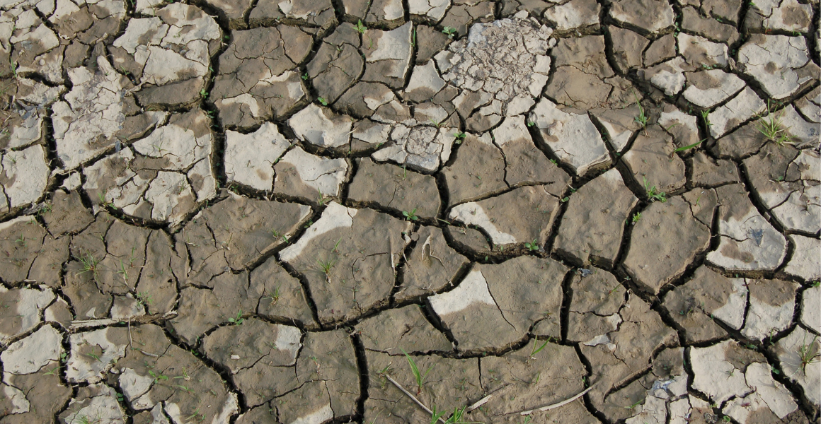 Drought Water Infrastructure Rebate AUSVEG