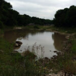 Institute To Hold May Meetings On Improving Cibolo Creek Water Quality