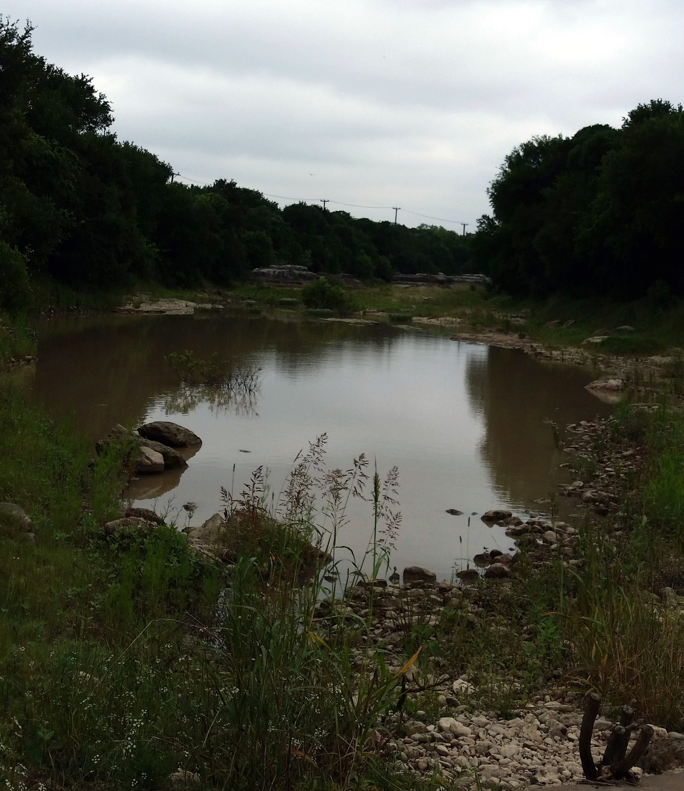 Institute To Hold May Meetings On Improving Cibolo Creek Water Quality 