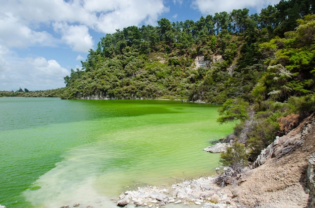 Is Rohnert Park Water Safe Swim Barbados Vacations