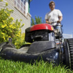 L A Residents Get Paid To Cut Lawns Permanently KPBS Public Media