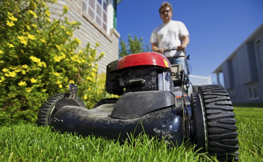 L A Residents Get Paid To Cut Lawns Permanently KPBS Public Media