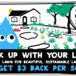 LADWP REBATES Save The Drop