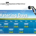 LADWP s Water Conservation Plans State Water Waste Fines