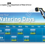 LADWP s Water Conservation Plans State Water Waste Fines Los