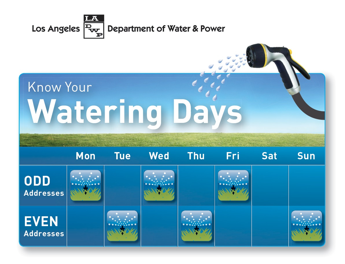 LADWP s Water Conservation Plans State Water Waste Fines Los 