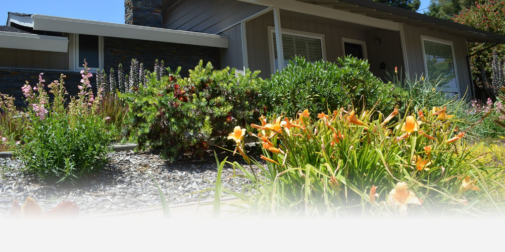 Lawn To Garden Rebate Information Contra Costa Water District CA 