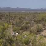 Looking Toward The Water Recharge Basins Www tucsonaz gov Flickr