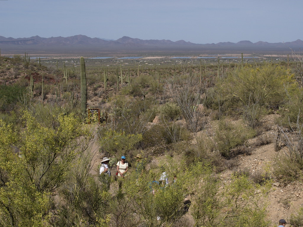 Looking Toward The Water Recharge Basins Www tucsonaz gov Flickr