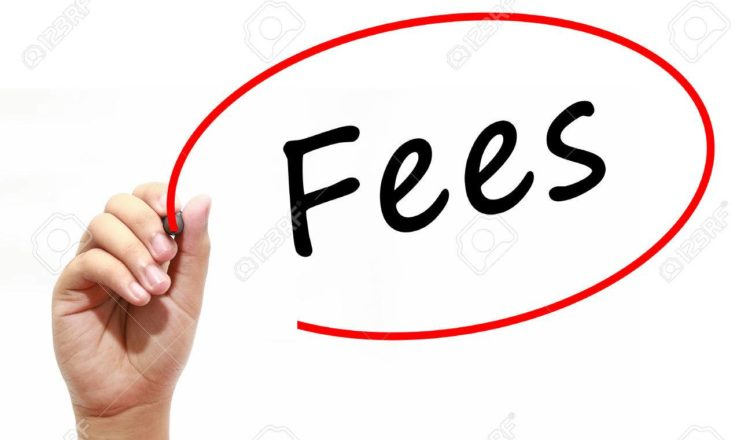 M S Fees 100 Government Rebate ConnectEd BrightonPS