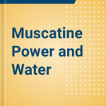 Muscatine Power And Water Strategic SWOT Analysis Review