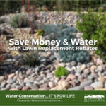 Pleasanton Zone 7 Lawn Conversion Rebate Program City Of Pleasanton