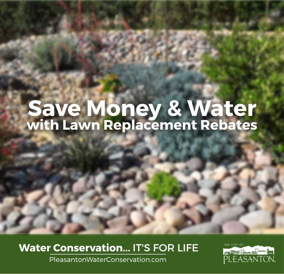 Pleasanton Zone 7 Lawn Conversion Rebate Program City Of Pleasanton 