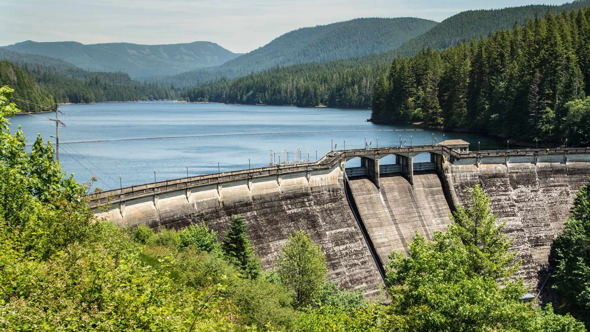 Portland Water Bureau Grants Nearly 100 000 To Restore Habitat The 