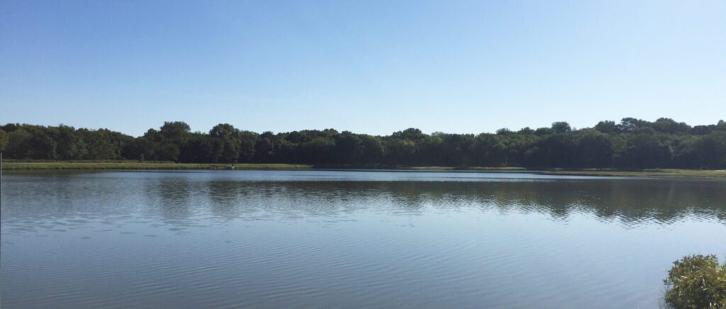 Q A Lee Lake No Longer Leaking Rain Needed To Fill Former Borrow Pit 