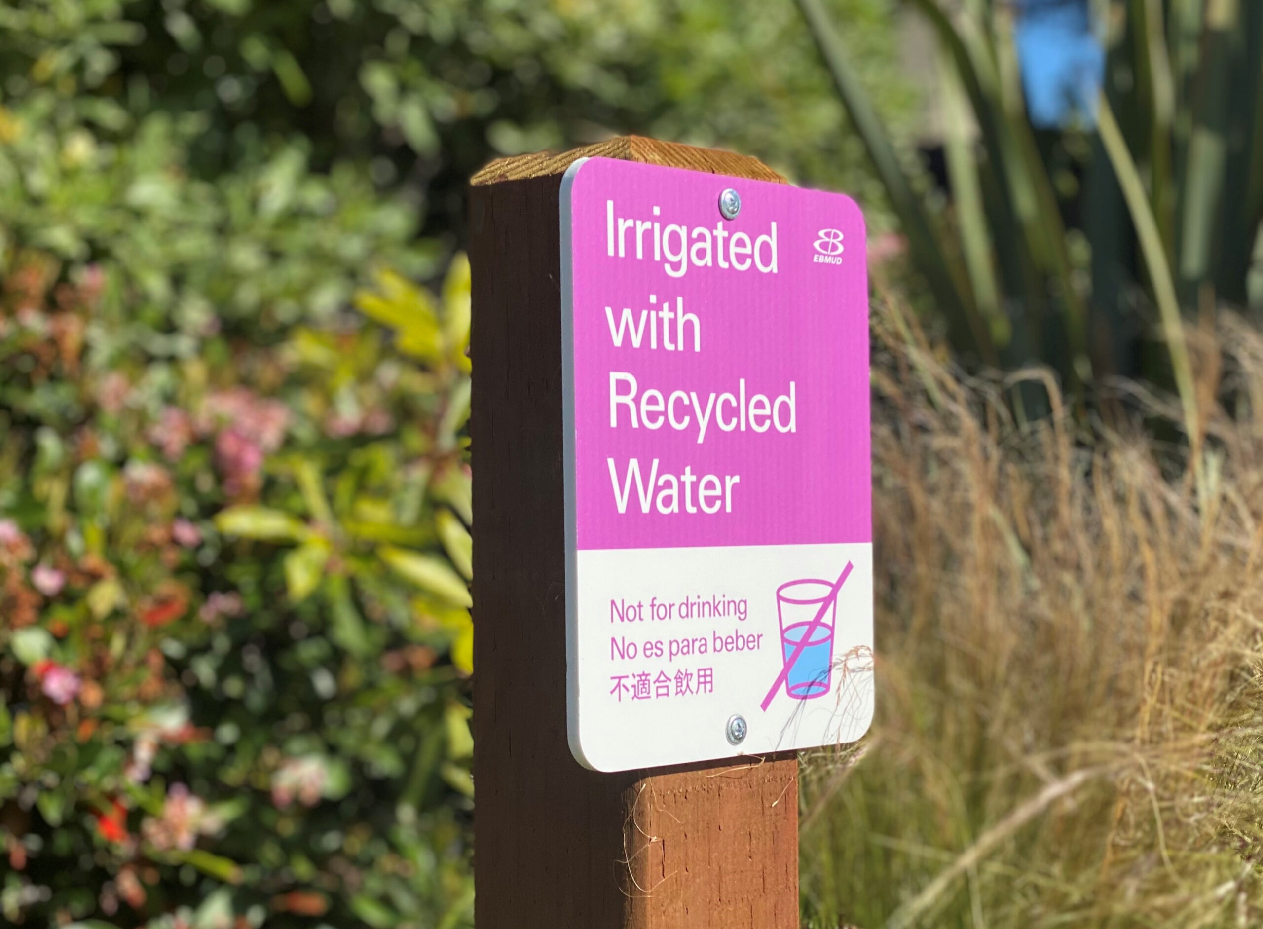 Recycled Water East Bay Municipal Utility District