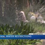 Round Rock Water Restrictions YouTube