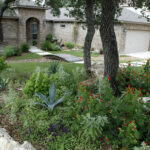 SAWS Encourages Water friendly Lawn Makeovers With Rebate